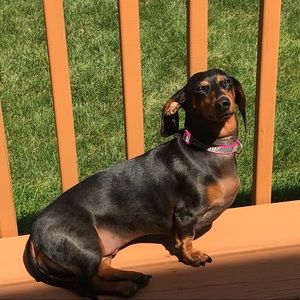 Meet your Posher, Danielle